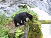 Alaska 2007