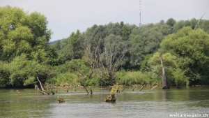 Donau Impression