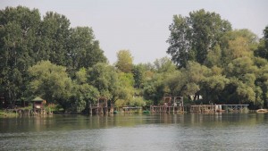 Ufer Donau
